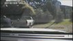 Charlotte police dashcam video of Keith Lamont Scott shooting