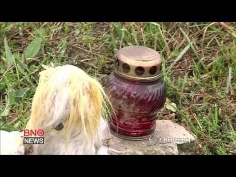 MH17 shot down from rebel-held village using Russian Buk system