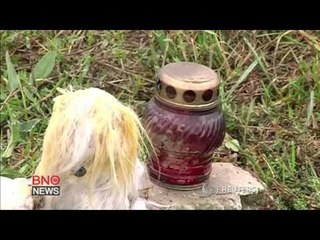 MH17 shot down from rebel-held village using Russian Buk system