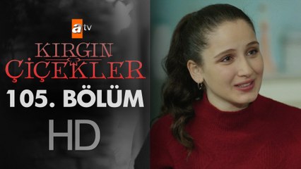 Kırgın Çiçekler 105. Bölüm