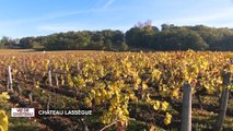 Vie de Château - Château Lassègue en Saint-Émilion Grand Cru