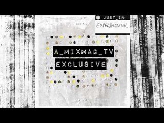 ELECTRONICA: Acid Pauli - Ayam [Ouïe]