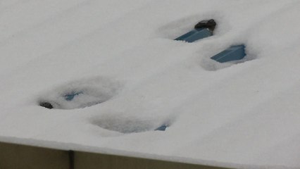 '눈 발자국' 결정적 단서..."폭설이 도왔다" / YTN