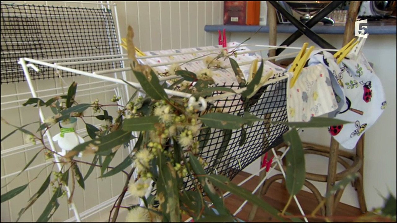 Le refuge des orphelins sauvages - Retour à la liberté