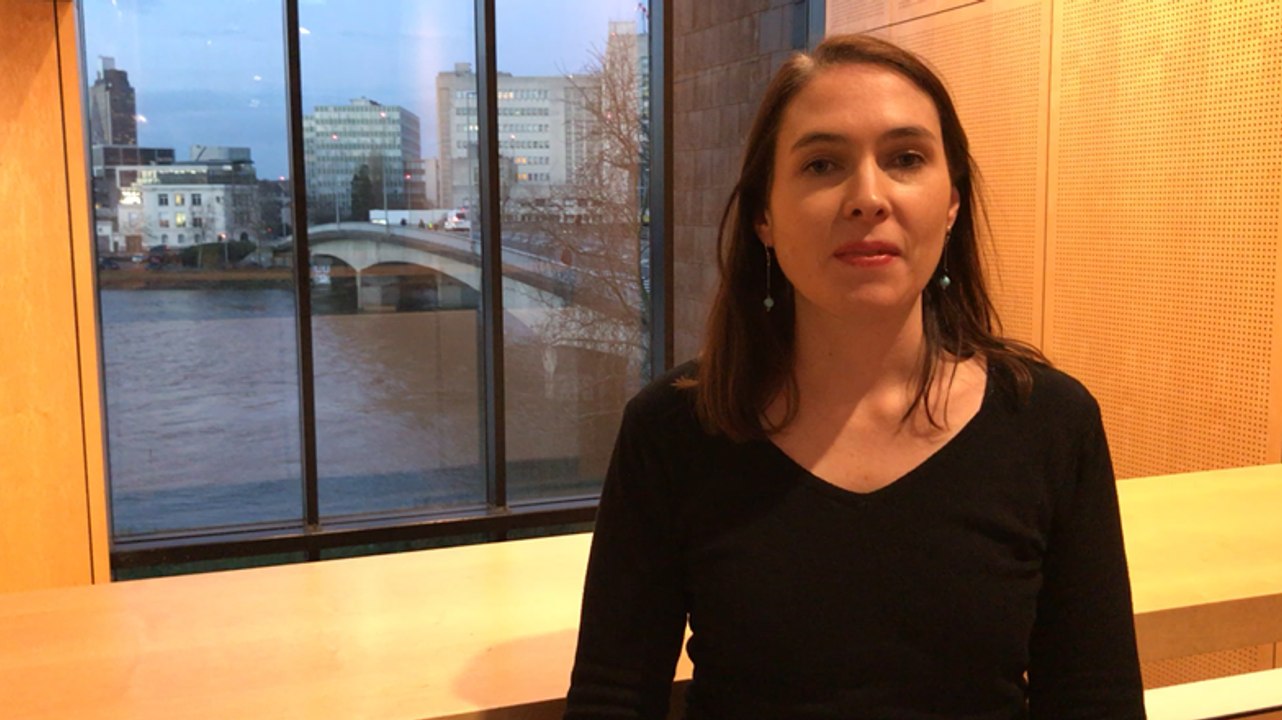 Notre-Dame-des-Landes expliqué aux enfants