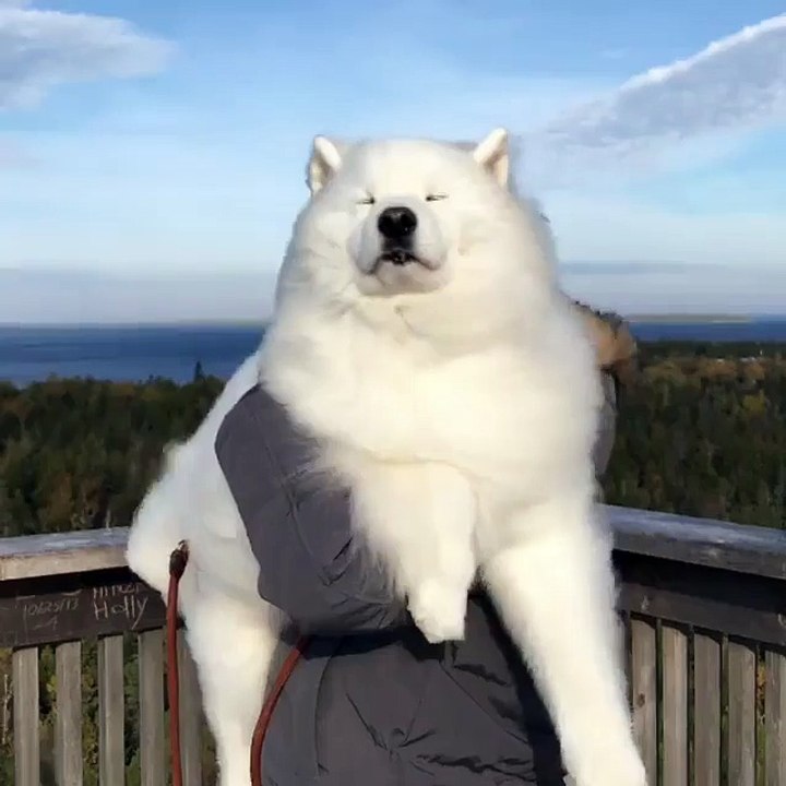 Majestic cloud