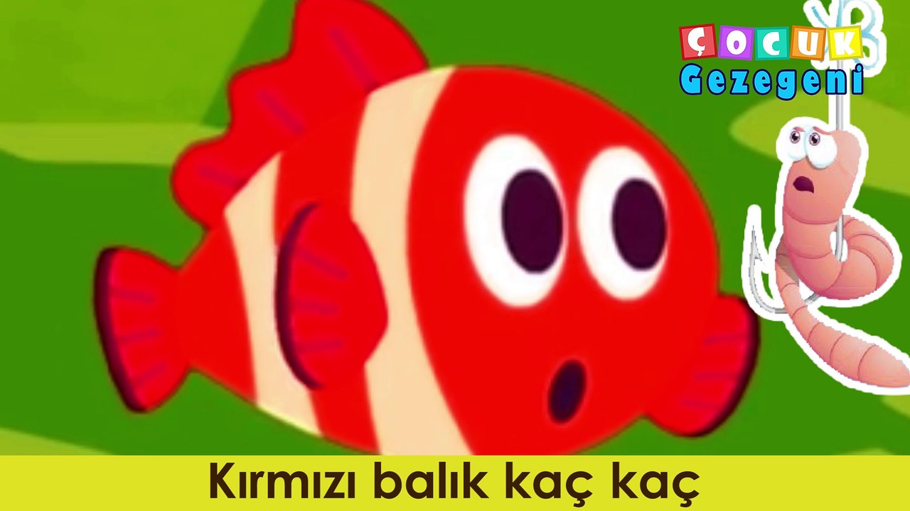 Kırmızı balık şarkısı sözleri ve notaları #indir #izle #dinle
