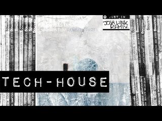 TECH-HOUSE: Matthias Tanzmann - Laika (Josh Wink) [Moon Harbour]