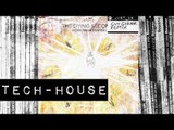TECH-HOUSE: The Dying Seconds - Mora Minn (Guy Gerber Remix Dub) [Rumours]