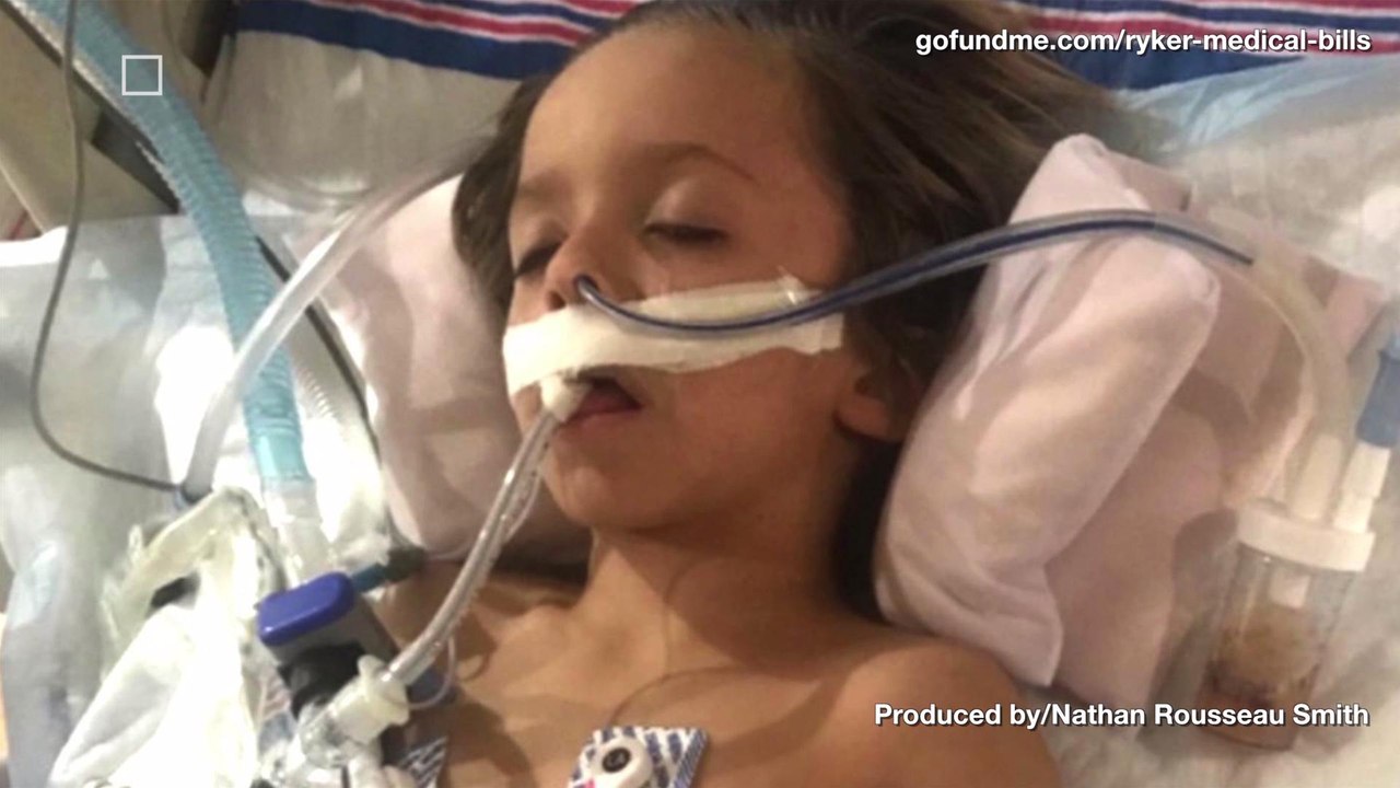 6-Year-Old Florida Boy Dies of Rabies After Getting Scratched by a Bat