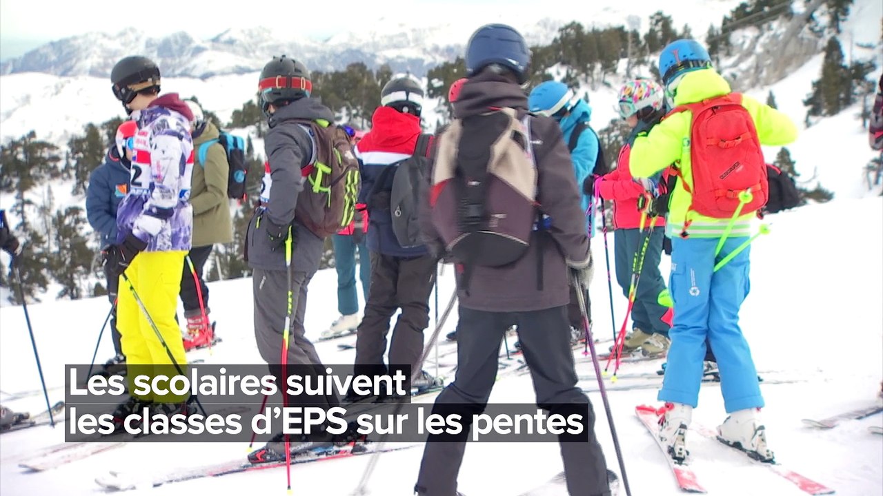 Chenilles, start-ups et ski : l'Hebdo Vidéo du 15 janvier !