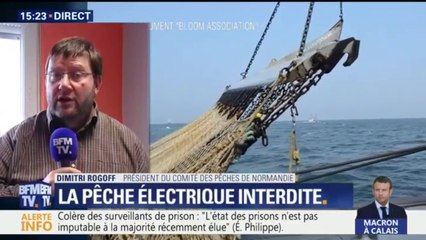 "La pêche électrique a un impact sur la faune qui n'est pas connu"