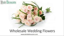 Wholesale Wedding Flowers - www.wholeblossoms.com