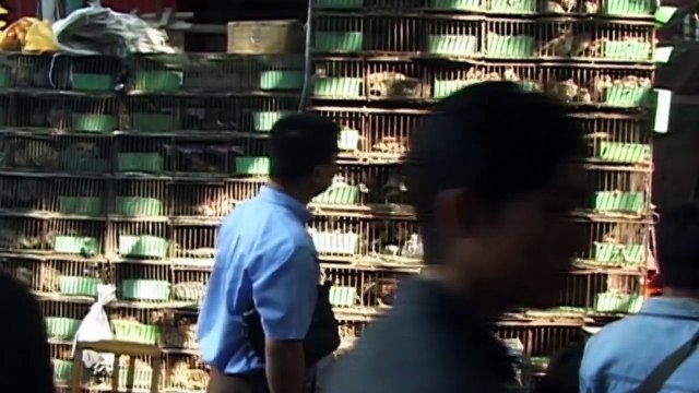 Cannibal: One Mans Meat (Cannibalism Documentary) Real Stories