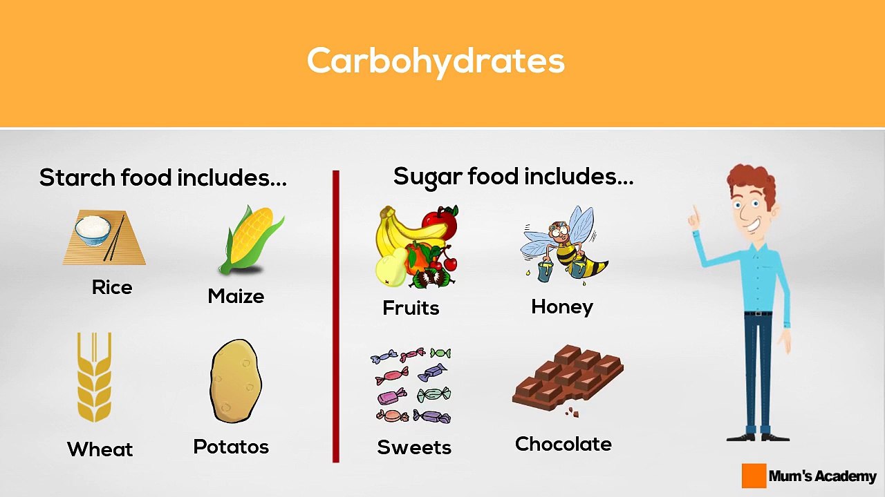 Food & Balanced Diet