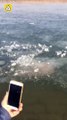 Chine : Un homme se plonge dans l'eau glacé mais il a faillit finir très mal !