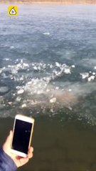 Chine : Un homme se plonge dans l'eau glacé mais il a faillit finir très mal !