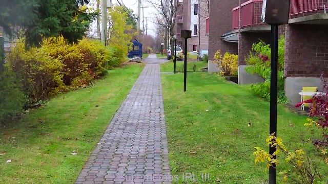 #14Frozen Elsa & Spiderman FINDS a DRAGON EGG! w Maleficent Joker Toys Fun Superhero in real life | Superheroes | Spiderman | Superman | Frozen Elsa | Joker