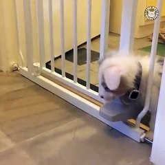 How the heck did you fit through there?!