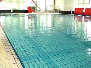 The Most Graceful Freestyle Swimming by Shinji Takeuchi