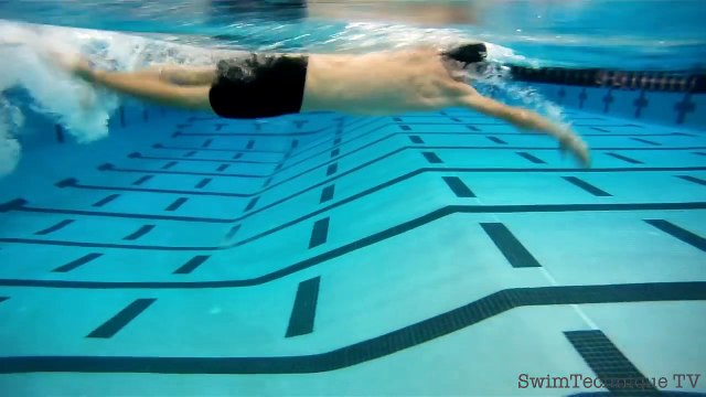 Freestyle Swimming Technique - How to swim freestyle