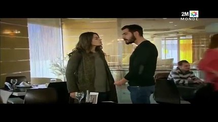 SAM7INI 1320 2Mtv Overview