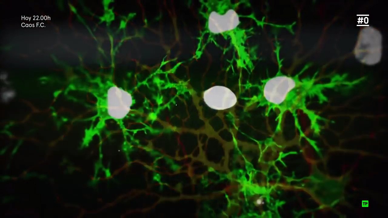 El poder de la mente _  Inteligencia _ Documental