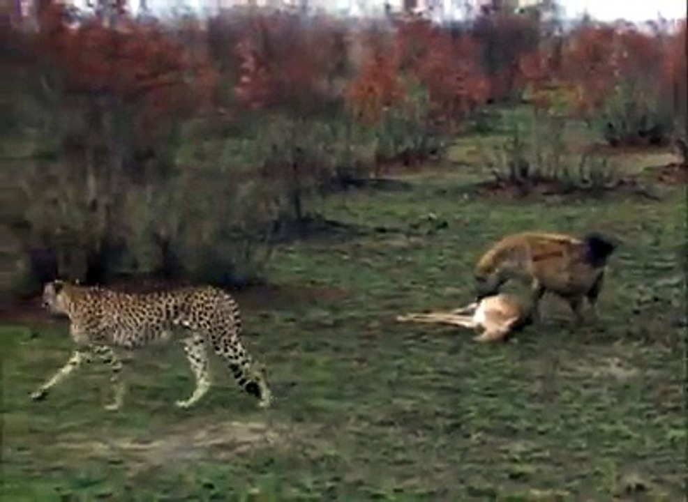 PARECE QUE O JOGO VIROU KKKK