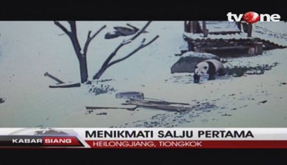 Bayi Banda Raksasa Nikmati Salju untuk Pertama Kali