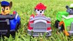 Best Learning Colors Video for Kids Paw Patrol Teach Colours Paw Patrol Toy Movie