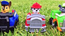 Best Learning Colors Video for Kids Paw Patrol Teach Colours Paw Patrol Toy Movie