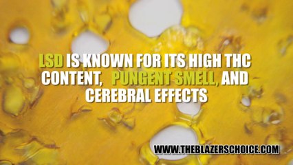 LEMON-SOUR-DIESEL--SHATTER-THE-BLAZERS-CHOICE