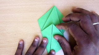 How to Make a Paper Macaw Parrot - Easy Tutorials