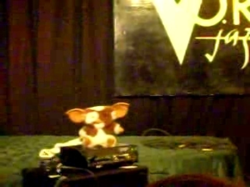 Video Gizmo