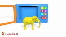 Learn Colors with Elephant  Animals for Children #h - Learn Colours with Animals for Kids-ZD