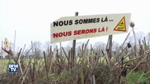Notre-Dame-des-Landes: 455 gendarmes déployés dans la ZAD en vue d'une éventuelle évacuation