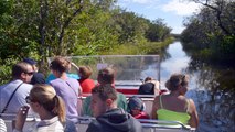 Airboat in Everglades Park