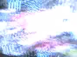 Forza C.A. - Your Trusted Partner 🚗