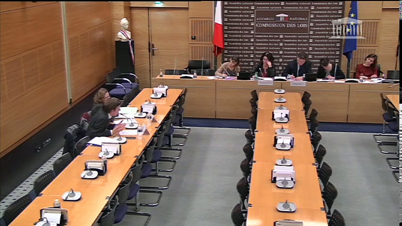 Nouvelles normes européennes en matière de protection des données : auditions diverses - Mercredi 11 janvier 2017