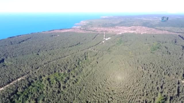 Sinoplular Nükleer Santral Konusunu Değerlendirdi