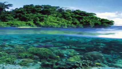 حصريا نصيحة يا صاحبي الغالي