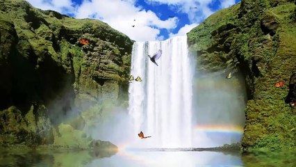 انشودة الخو يلي اريده في دنيتي