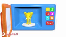 Learn Colors with Elephant  Animals for Children #h - Learn Colours with Animals for Kids-ZDUop