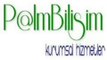 PALM BİLİŞİM Kurumsal Hizmetler (Teknik Servis)