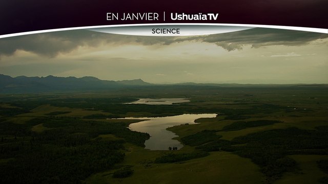 BANB_DU JURASSIQUE A LA PREHISTOIRE TEASER V3 HERVE