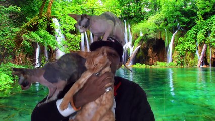 Ce rappeur est... le roi des chats !!