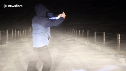 Blizzard hits Northern Ireland overnight