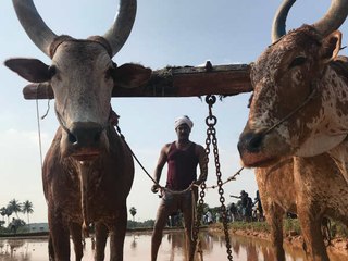 தமிழ் சினிமாவுக்கு நல்ல புத்தி வந்துடுச்சு போல