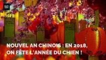 Nouvel an chinois : en 2018, on fête l'année du Chien !