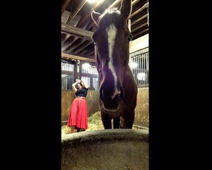 Beautiful Girl Dance With Horse